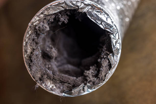 Best Affordable Air Duct Cleaning  in Mountain House, CA